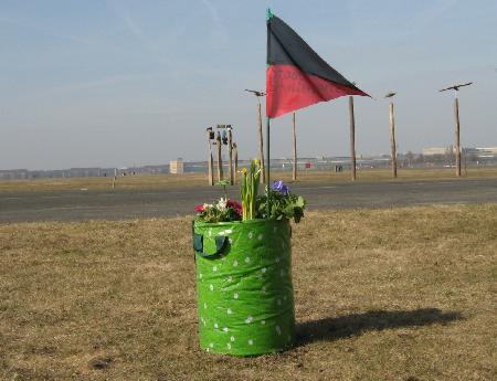 Blumen auf dem Tempelhofer Feld