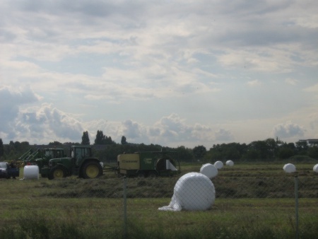 Heuernte Tempelhofer Feld